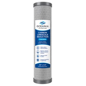 Carbon Limescale Reduction Filter for whole home water filtration Perth